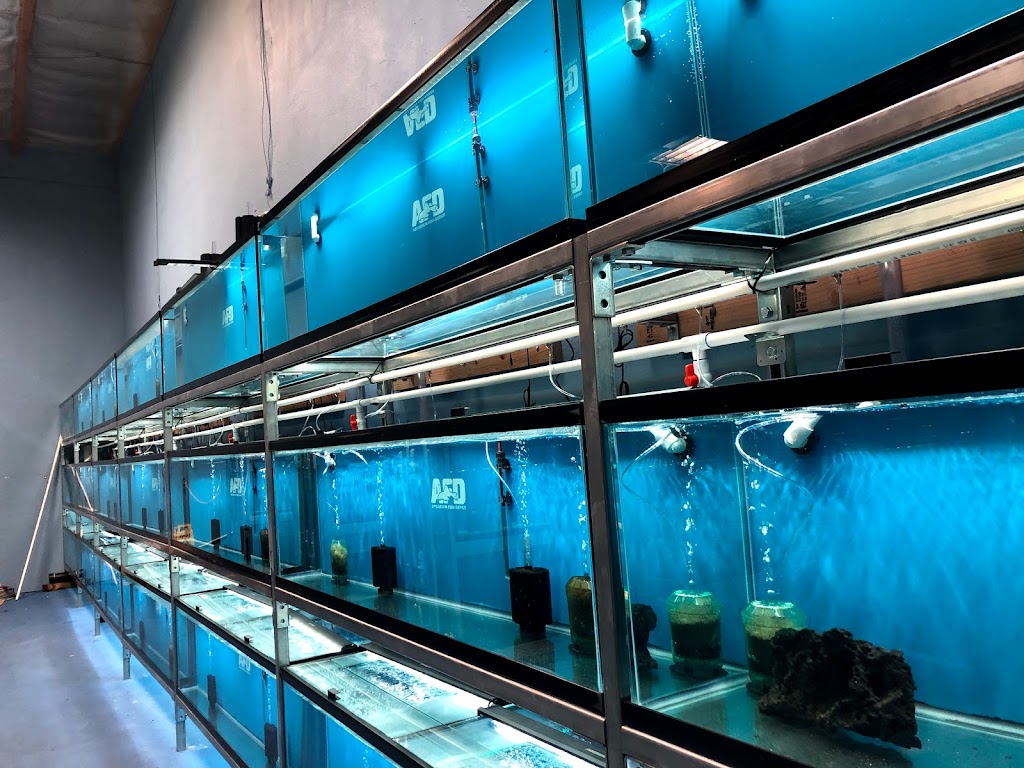 Aquarium Fish Depot | 5121 Santa Fe St Suite F, San Diego, CA 92109, USA | Phone: (858) 926-2060