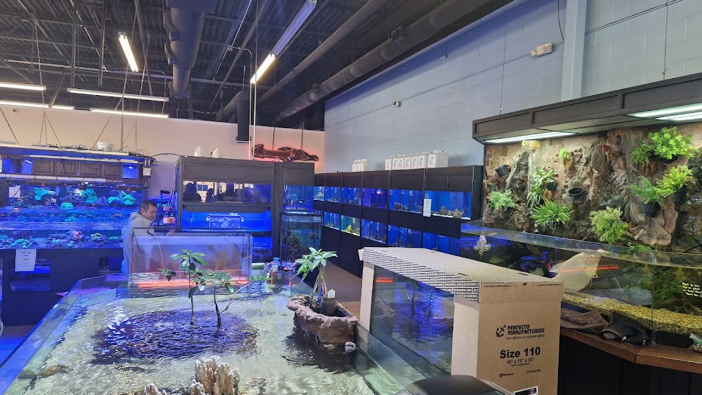 Aquariums Unlimited LLC | 797 B Chimney Hill Shopping Ctr, Virginia Beach, VA 23452, USA | Phone: (757) 280-5781