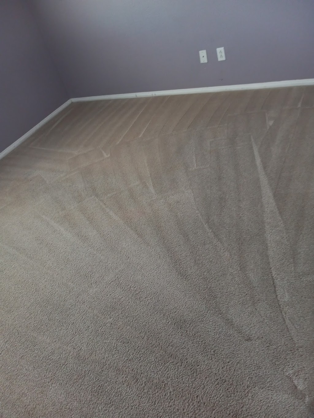 Vigils Carpet and cleaning services | 17000 Allthorn St, Hesperia, CA 92345, USA | Phone: (562) 296-7046