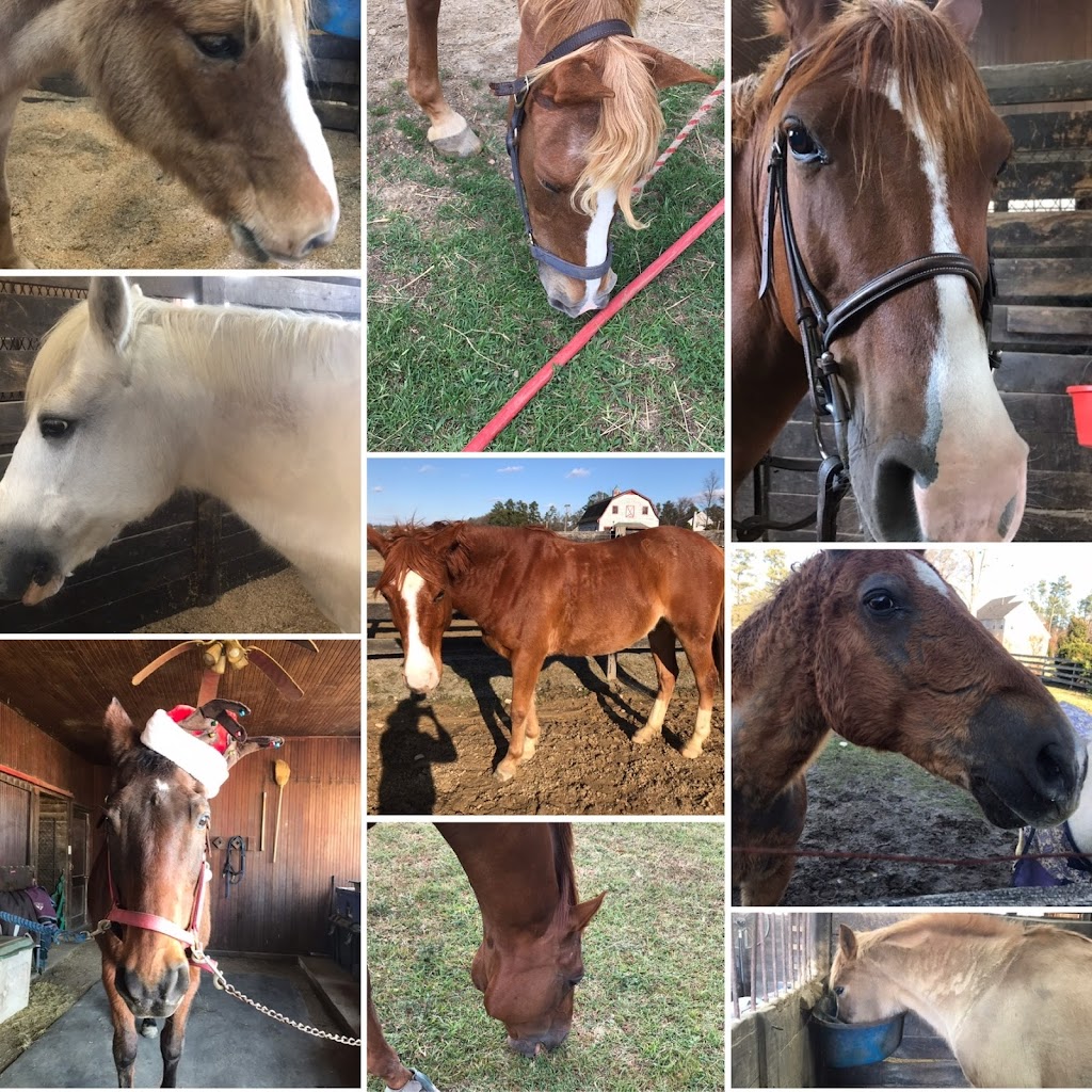 The Riding School at James River Equestrian Center | 414 Huguenot Trail, Midlothian, VA 23113, USA | Phone: (804) 594-0760