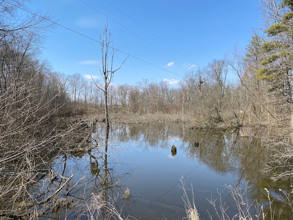 Wildwood - ACRES Land Trust | 409 IN-14, Silver Lake, IN 46982, USA | Phone: (260) 637-2273