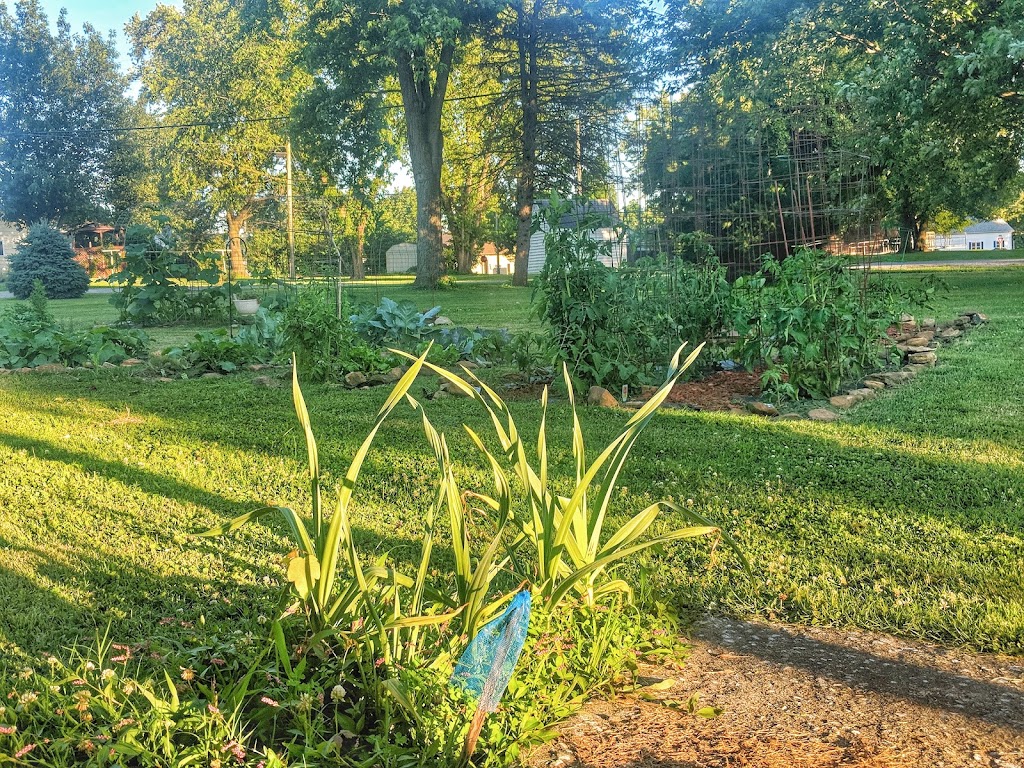 Campbell Hill community garden. | 119 S Pine St, Campbell Hill, IL 62916, USA | Phone: (618) 318-6664