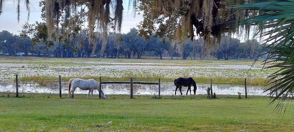 Lakeside Oaks Mobile Home Park | 36442 Laurel Ln, Dade City, FL 33525, USA | Phone: (352) 567-9212