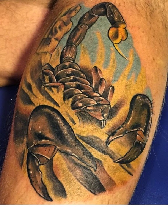 Tampa Tattoo Co. | 1012 N Howard Ave, Tampa, FL 33607, USA | Phone: (813) 644-5959