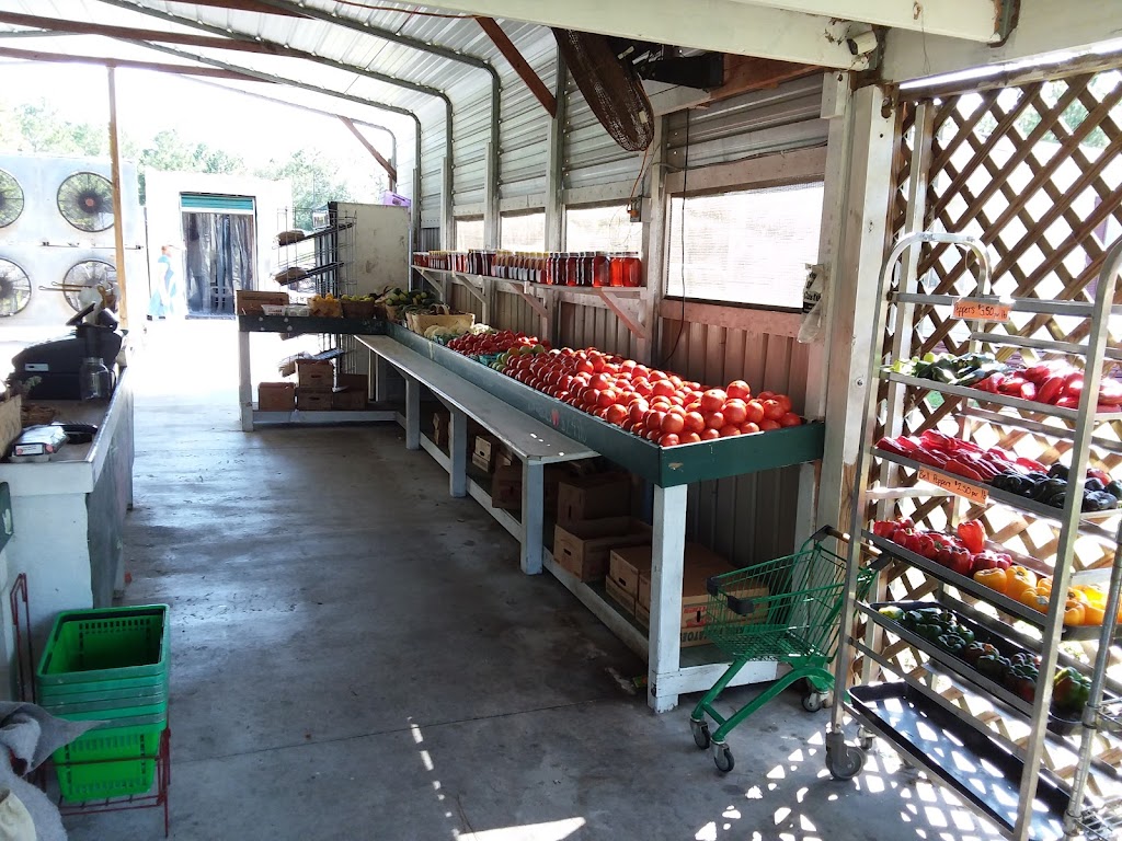 FL Agricultural Interdiction Station 15 | 3985 Hwy 17, Yulee, FL 32097, USA | Phone: (904) 548-0862