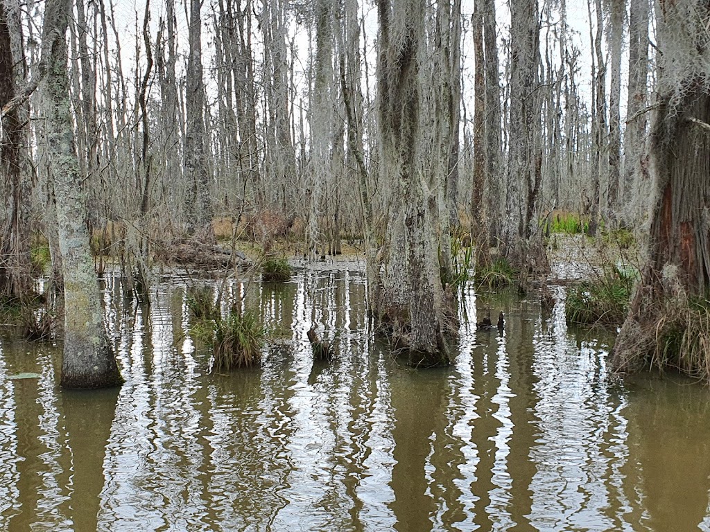 Pearl River Wildlife Management Area | Slidell, LA 70461, USA | Phone: (985) 543-4777