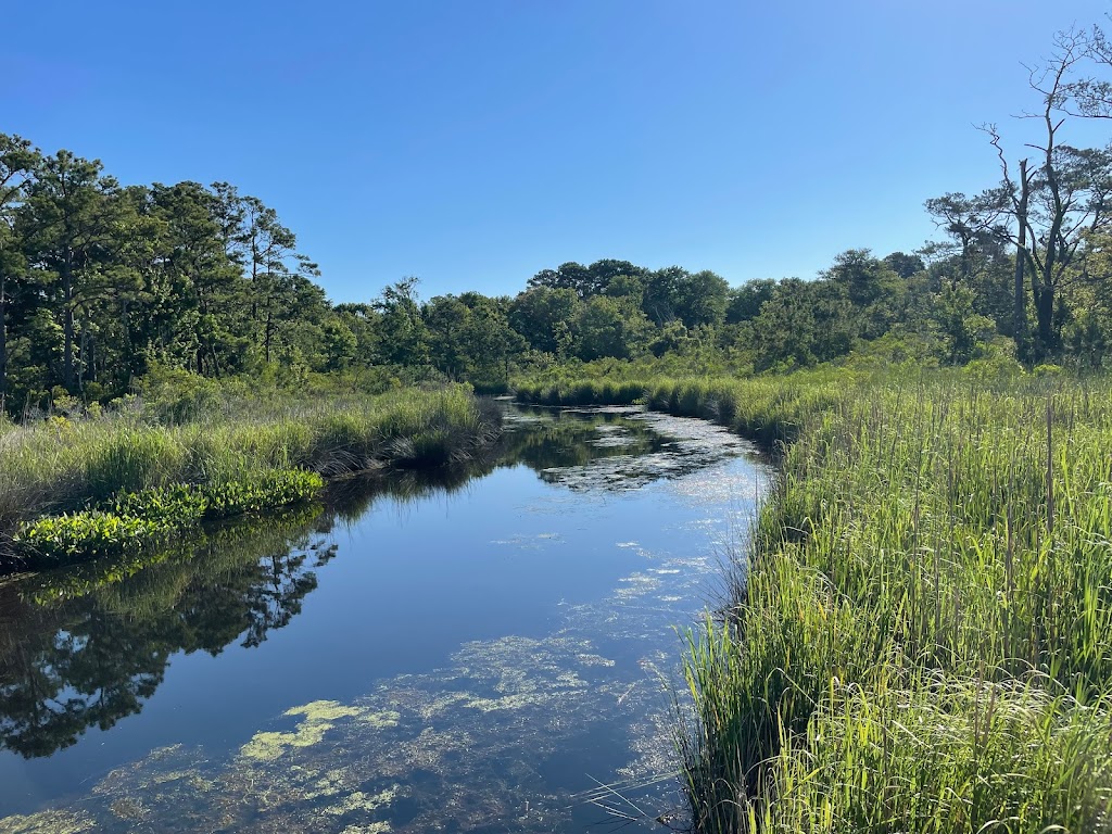 Currituck Banks Reserve | Corolla, NC 27927, USA | Phone: (252) 261-8891