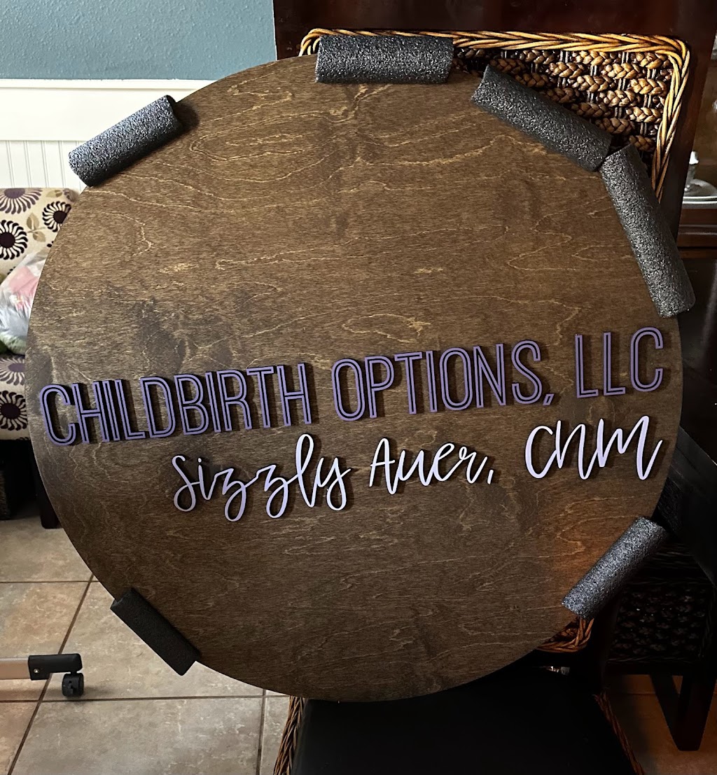 Childbirth Options, LLC | 27032 Evergreen Chase Dr, Wesley Chapel, FL 33544, USA | Phone: (813) 381-6430