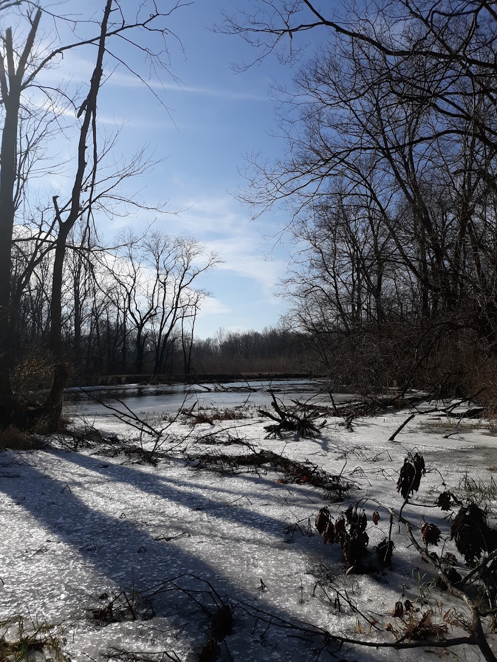 Benton Dam ‒ River Preserve County Park | 68552 Co Rd 31, New Paris, IN 46553, USA | Phone: (574) 535-6458