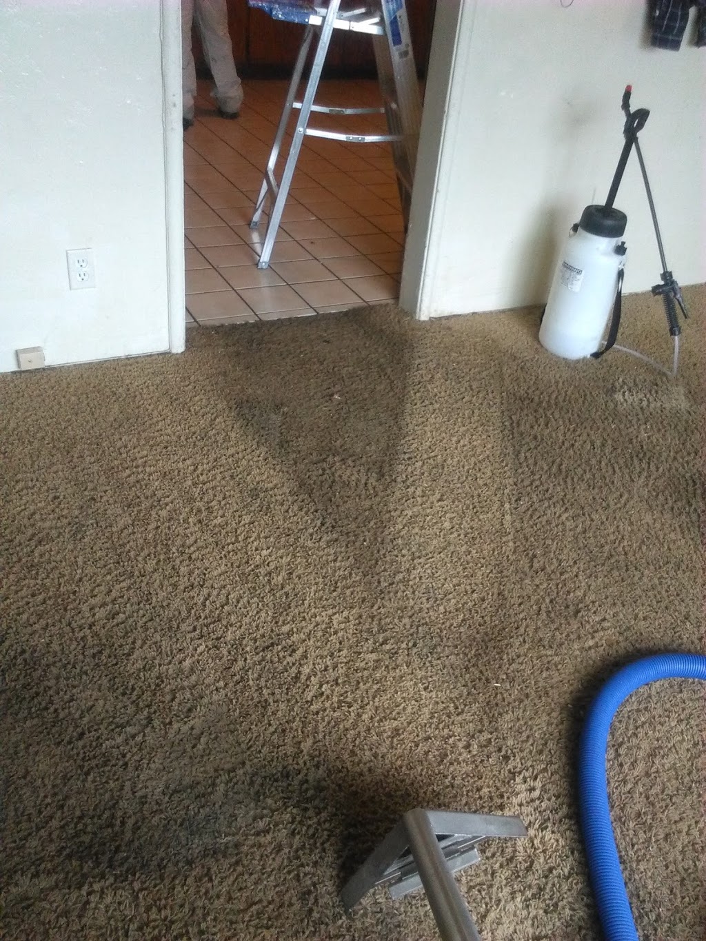Best Steam Carpet Cleaning | 1050 Borregas Ave, Sunnyvale, CA 94089, USA | Phone: (650) 679-5809