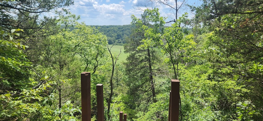 Robinson Bluff Climbing Area | 11050 Bo Hollow Rd, Cadet, MO 63630, USA | Phone: (314) 258-0250