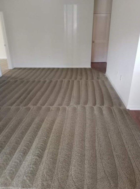 Pet Mess Express | 120 Washington St, Carlisle, KY 40311, USA | Phone: (808) 372-2685