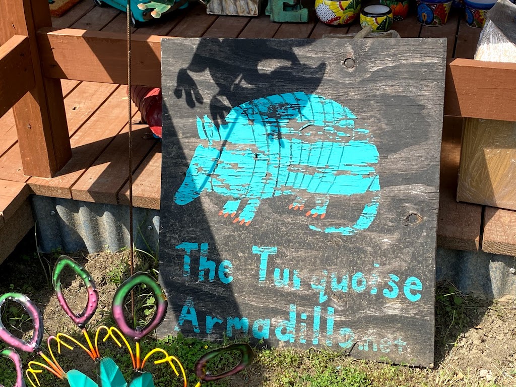 Turquoise Armadillo | 9921 Co Rd 1390, Blooming Grove, TX 76626, USA | Phone: (903) 654-0142