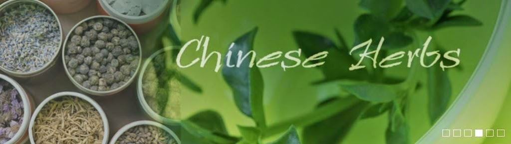 Tucson Acupuncture and Chinese Herbs,LLC | 3958 E Fort Lowell Rd, Tucson, AZ 85712, USA | Phone: (520) 577-2960