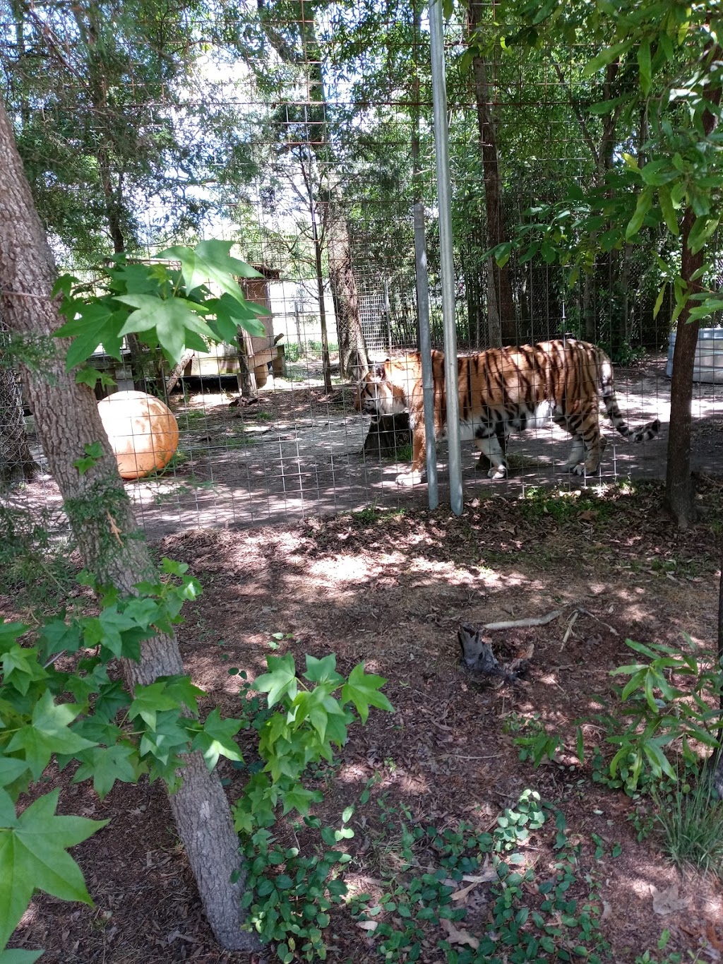 Animal Park at the Conservators Center | 676 E Hughes Mill Rd, Burlington, NC 27217, USA | Phone: (336) 421-0883