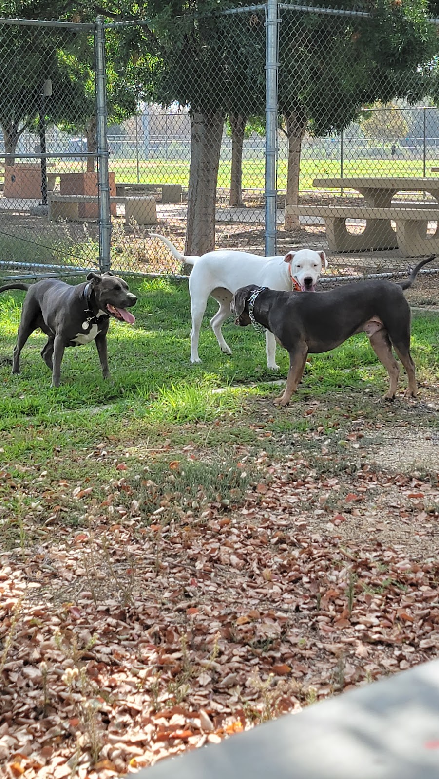 SEPULVEDA BASIN SPORTS COMPLEX | 6201 Balboa Blvd, Van Nuys, CA 91406, USA | Phone: (818) 756-9642