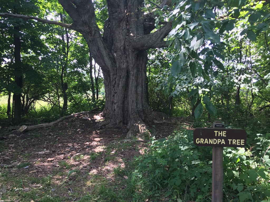 Beaver Meadow Nature Center / Buffalo Audubon Society | 1610 Welch Rd, North Java, NY 14113, USA | Phone: (585) 457-3228