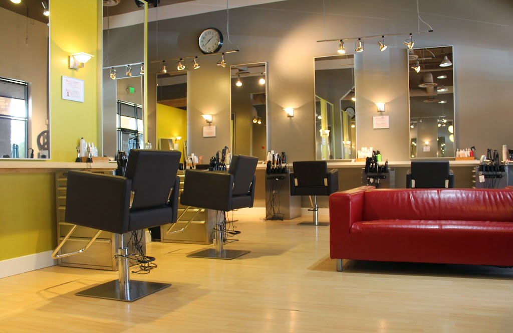 Chace Salon | 16630 W Greenway Rd, Surprise, AZ 85388, USA | Phone: (623) 584-6363