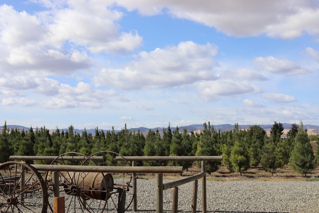 Pine Country The Martin Family | Gustine, CA 95322, USA | Phone: (209) 854-3636