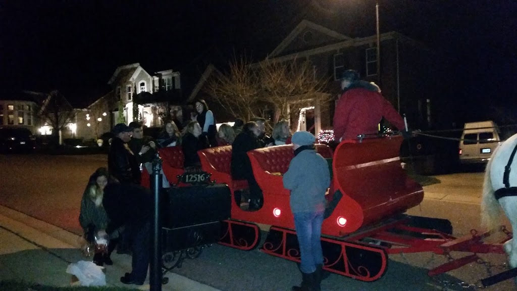 Gold Leaf Carriage | 1520 Weslyn Springs Way, Fuquay-Varina, NC 27526, USA | Phone: (919) 614-5306