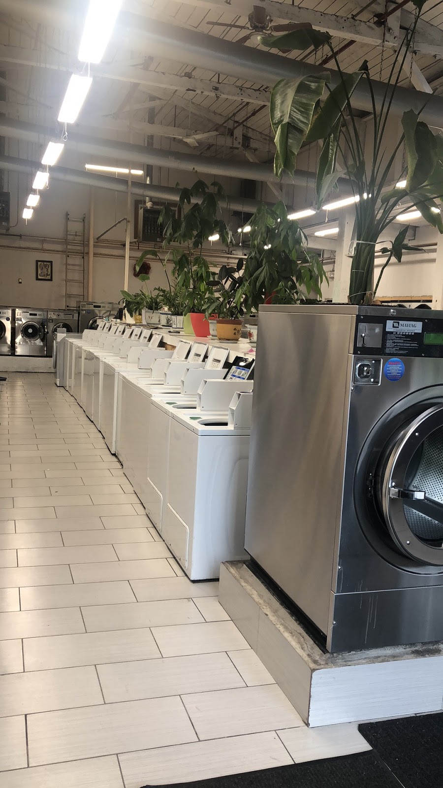 Lodi Super Laundromat | 2 Mercer St, Lodi, NJ 07644 | Phone: (973) 330-7919