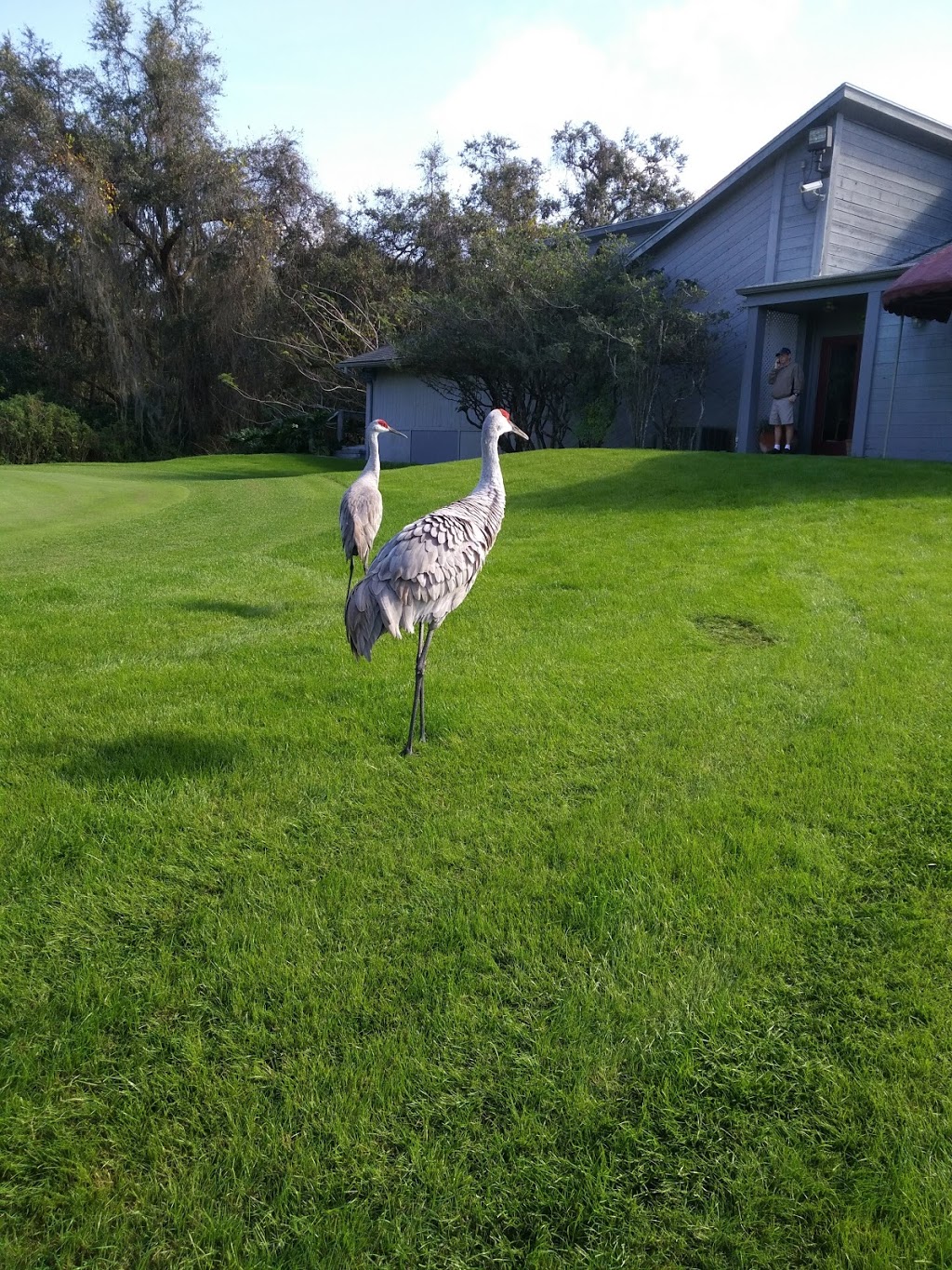 Links of Lake Bernadette | 5430 Links Ln, Zephyrhills, FL 33541, USA | Phone: (813) 788-7888