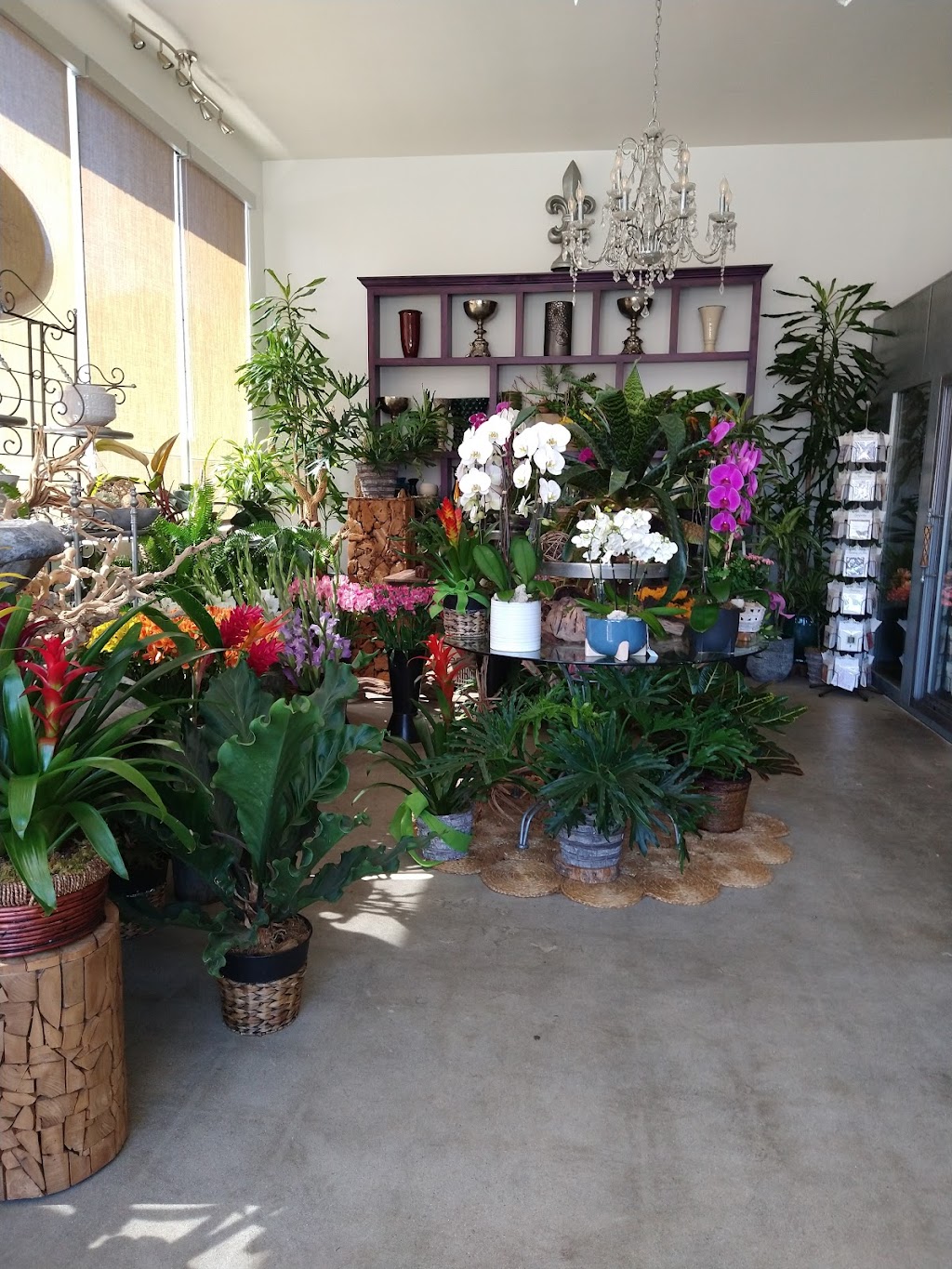 Fleur De Lis Artistry In Flowers | 720 S Weymouth Ave, San Pedro, CA 90732, USA | Phone: (310) 833-4300