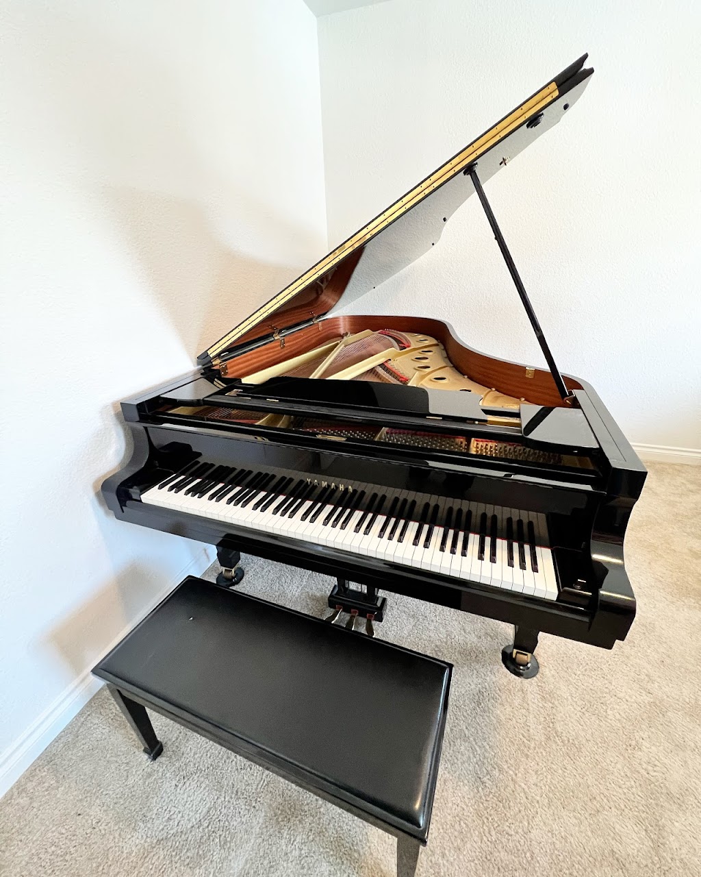 Anytime Anywhere Piano & Moving Co. | 10 Greg St Unit 152, Sparks, NV 89431, USA | Phone: (775) 351-4671