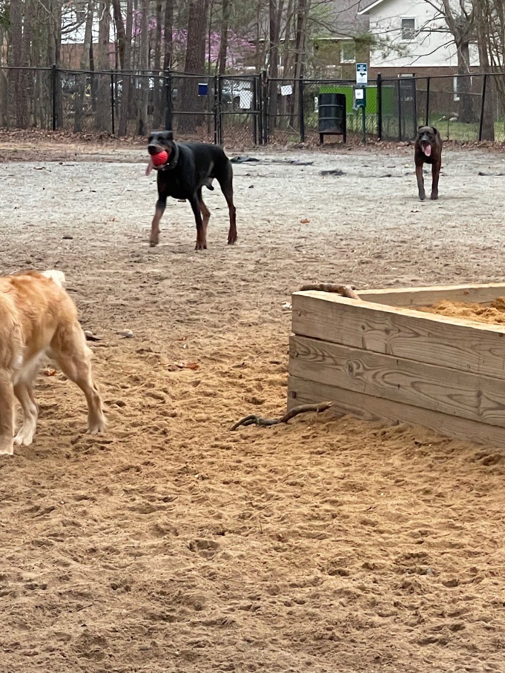 Piney Wood Dog Park | 400 E Woodcroft Pkwy, Durham, NC 27713, USA | Phone: (919) 560-4355 ext. 27261