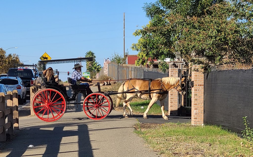 Fancy Ferriage by Horse & Carriage | 3900 Brown Rd, Oakley, CA 94561, USA | Phone: (925) 679-9412