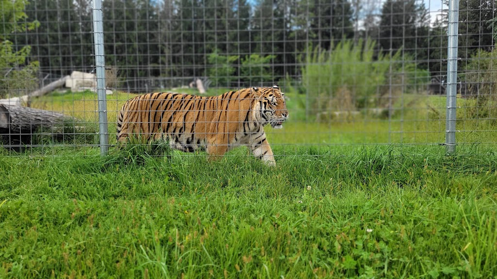 Shalom Wildlife Zoo | 1901 Shalom Dr, West Bend, WI 53090, USA | Phone: (262) 338-1310