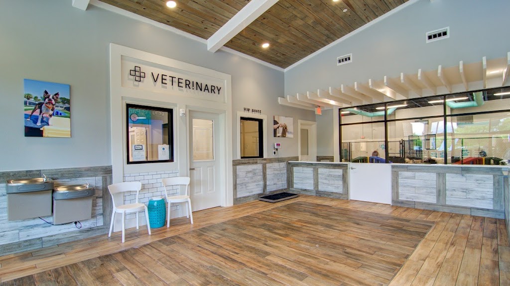 Pet Paradise Veterinary Clinic | 8795 Holly Springs Rd, Apex, NC 27539, USA | Phone: (919) 890-8850