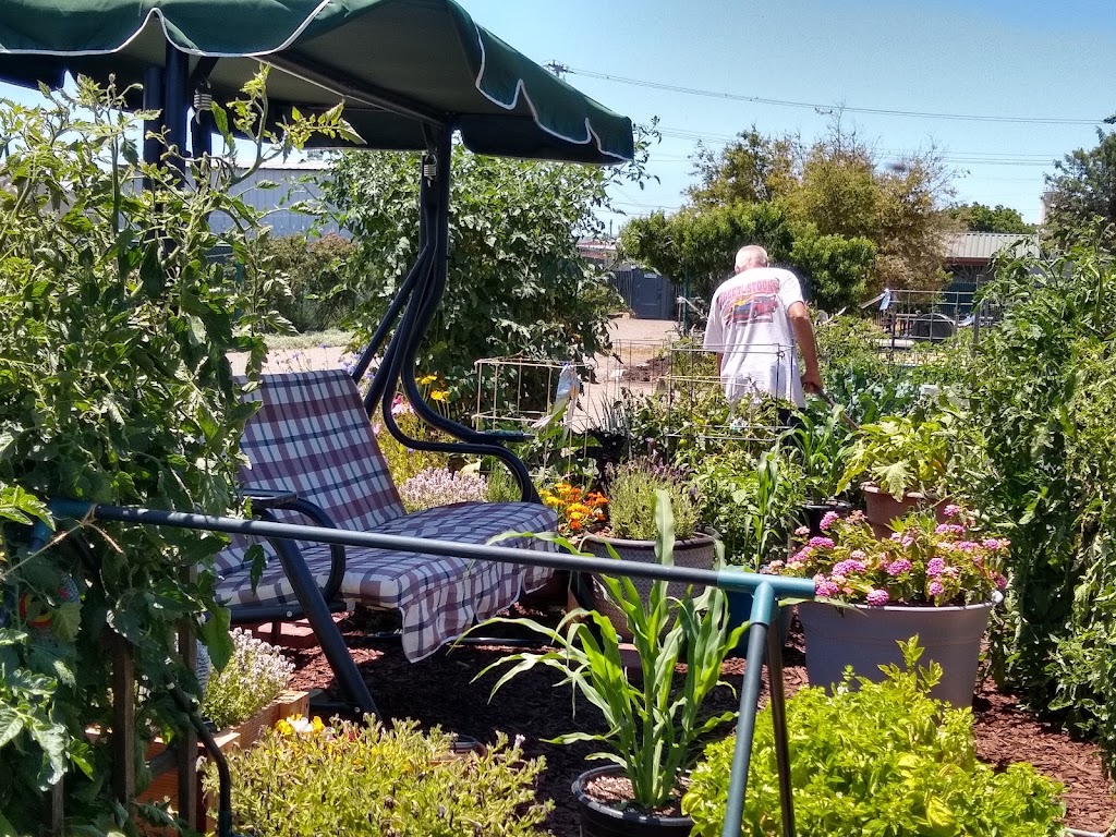 Guadalupe Community Garden | Guadalupe Community Garden, Walnut St, San Jose, CA 95110, USA | Phone: (408) 793-4165