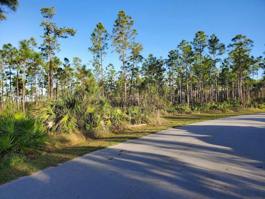 Long Pine Key Campground | Homestead, FL 33034, USA | Phone: (305) 242-7873