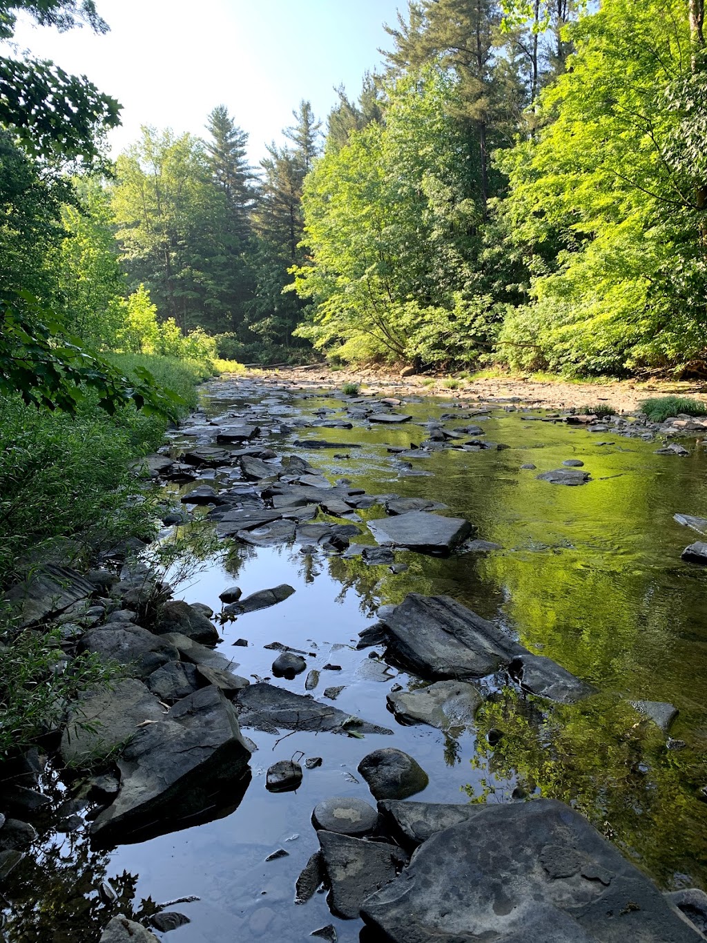 Kenneglenn Scenic and Nature Preserve | 11663 Strykersville Rd, East Aurora, NY 14052, USA | Phone: (716) 687-1225