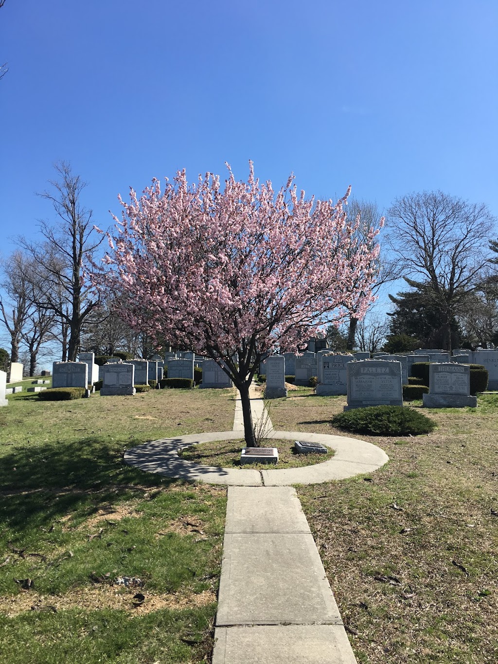 Shastone Memorials | 112 Northern Blvd, Great Neck, NY 11021, USA | Phone: (516) 487-4600