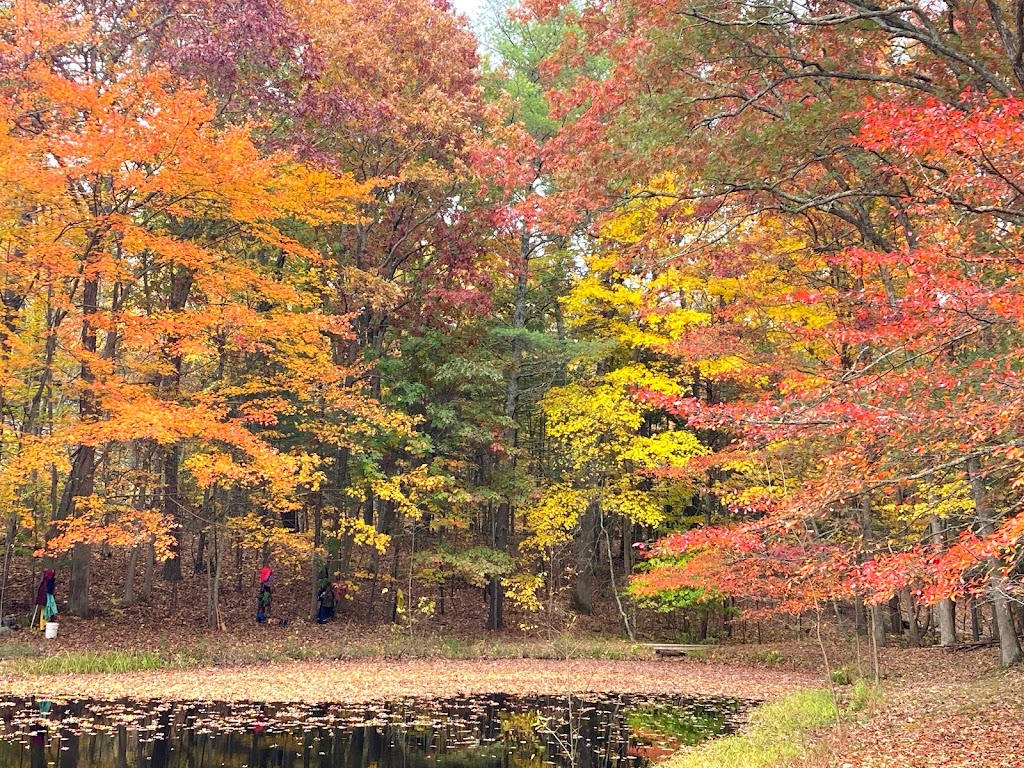 Mountaintop Waldorf School | 68 Band Camp Rd, Saugerties, NY 12477, USA | Phone: (845) 247-3707