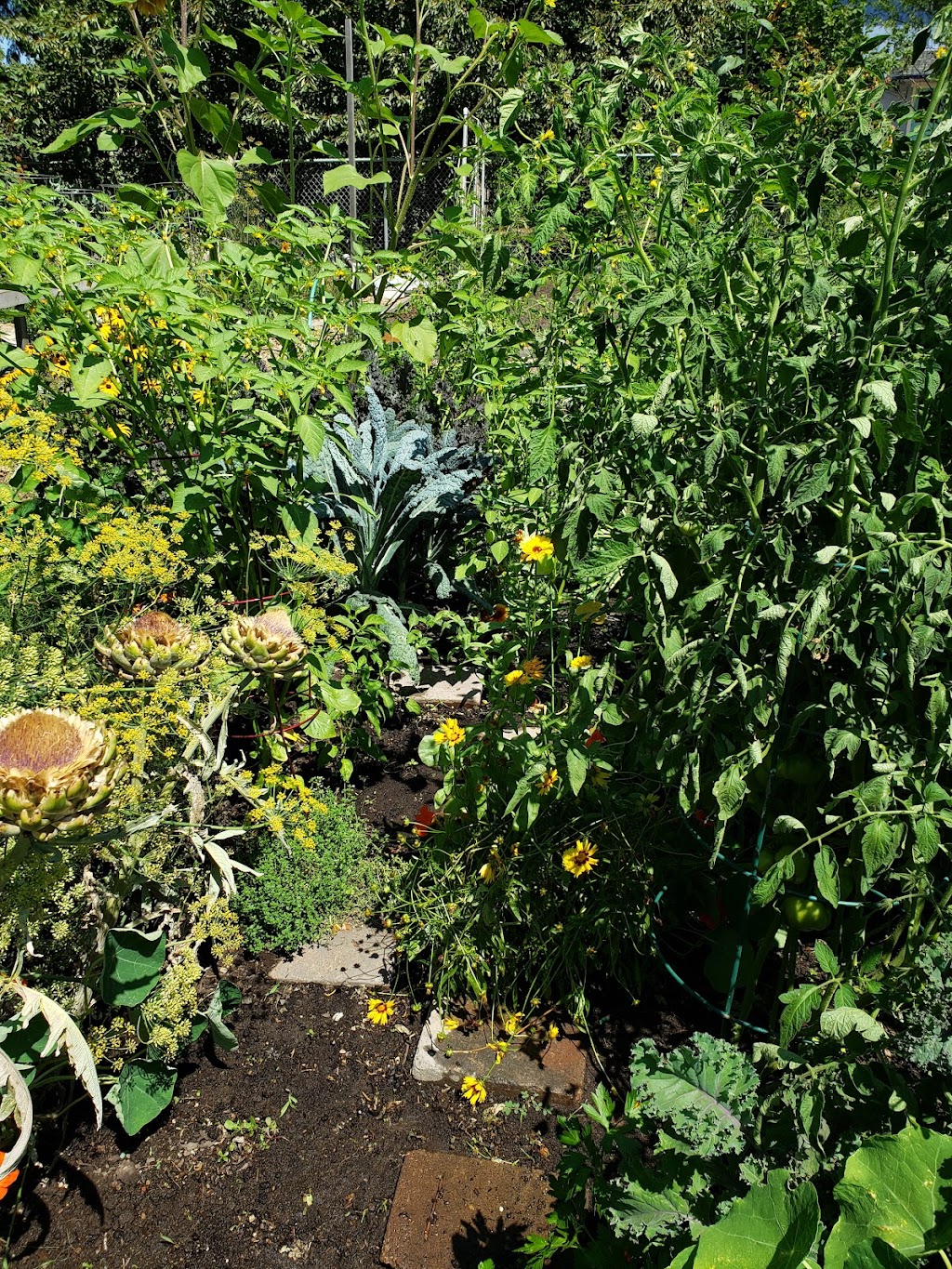 Errol Heights Community Garden | 4841 SE Tenino Ct, Portland, OR 97206 | Phone: (503) 823-1612