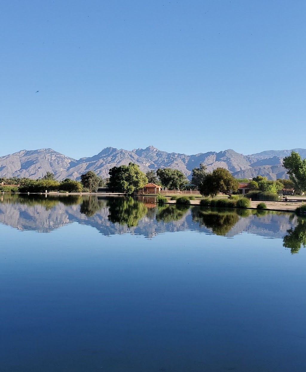 The Lakes at Castle Rock Recreation Center | 9490 N Castle Rock Dr, Tucson, AZ 85749, USA | Phone: (520) 297-0797