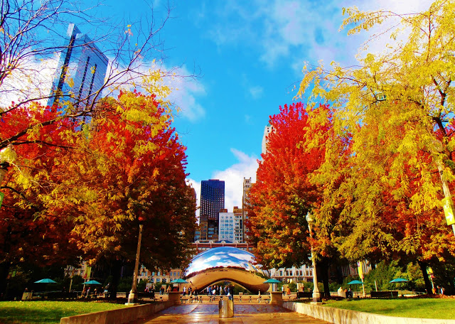 Illinois Trail Shuttle | 525 N Quentin Rd Suite 212, Palatine, IL 60067, USA | Phone: (224) 651-6507