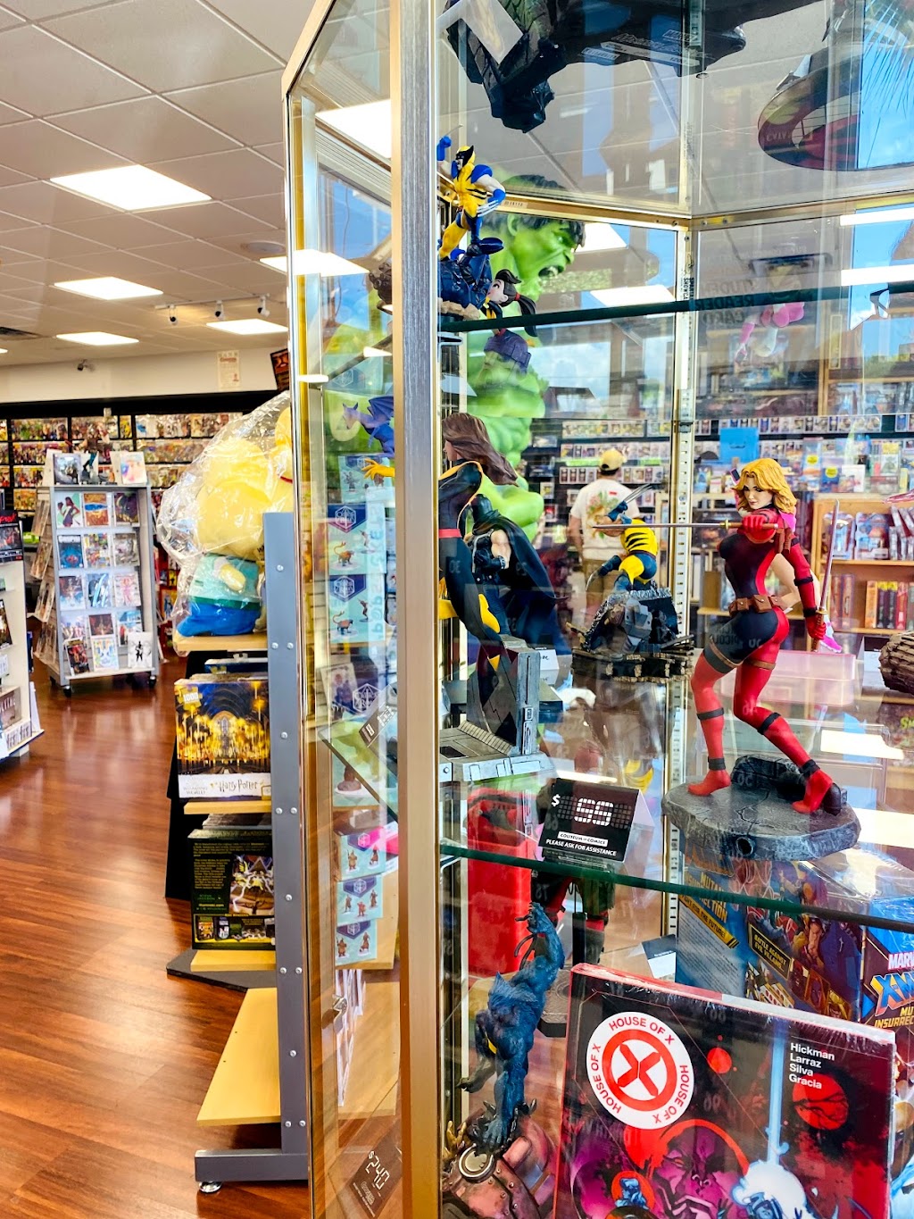 Coliseum of Comics New Tampa | 19402 Bruce B Downs Blvd, Tampa, FL 33647, USA | Phone: (813) 528-8758