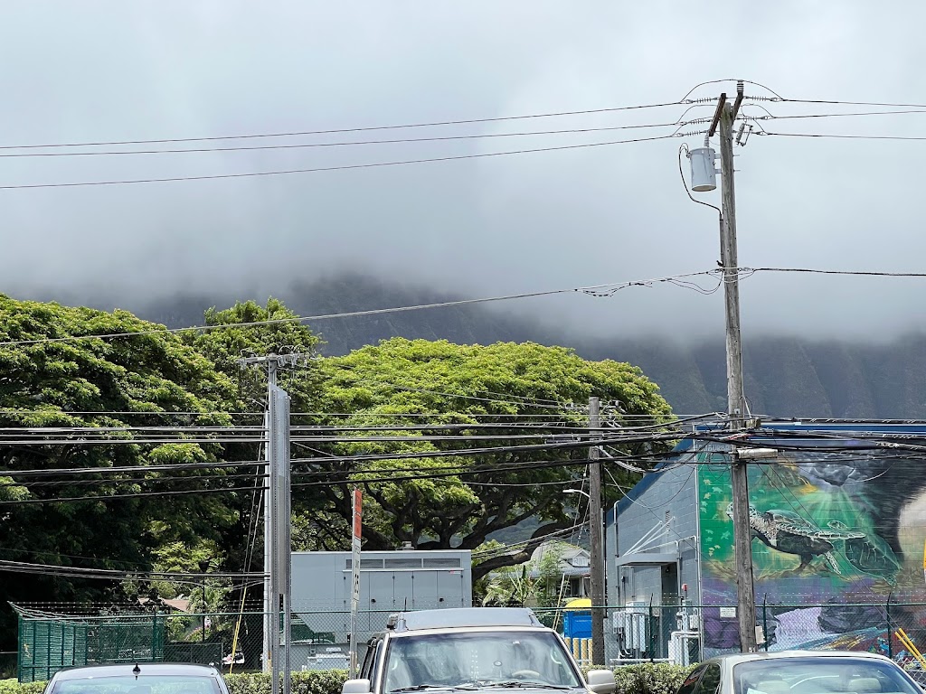 The Aquaponics Place | 41-1515 Lukanela St, Waimanalo, HI 96795, USA | Phone: (808) 259-5797