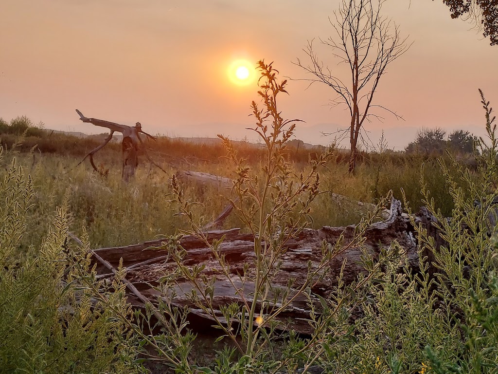 Clear Spring Ranch | Loren Lane, Fountain, CO 80817, USA | Phone: (719) 520-7529