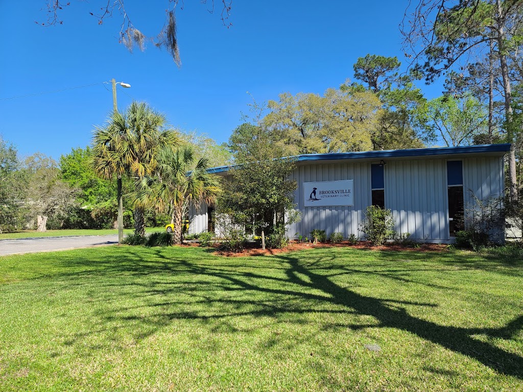 Brooksville Veterinary Clinic | 900 Ponce De Leon Blvd, Brooksville, FL 34601, USA | Phone: (352) 796-5181