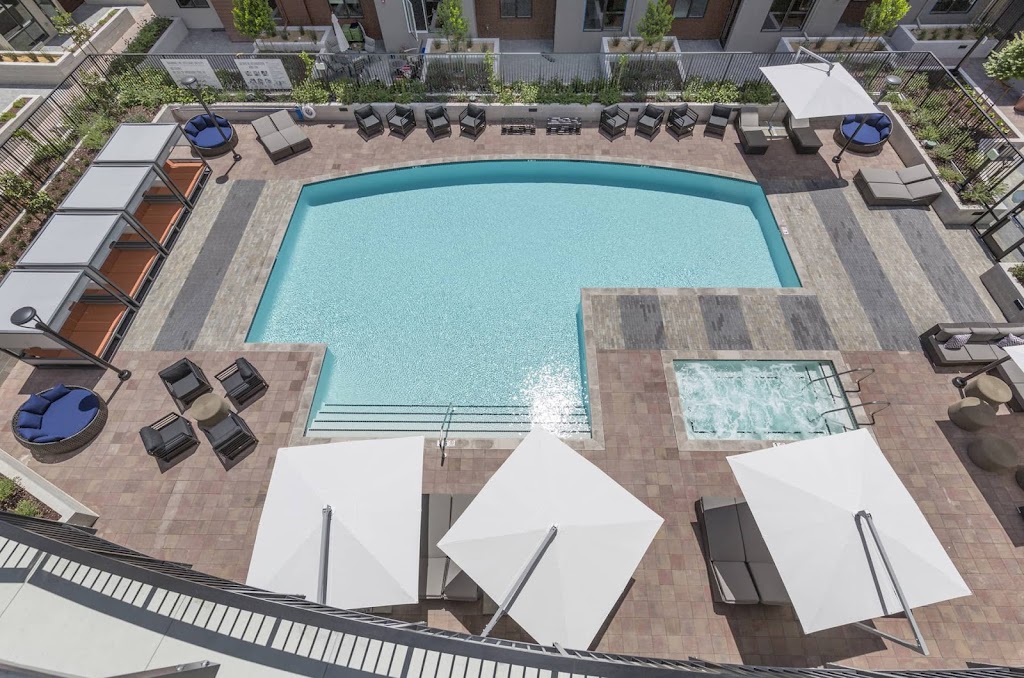 Verve | 1984 W El Camino Real, Mountain View, CA 94040, USA | Phone: (650) 206-4941