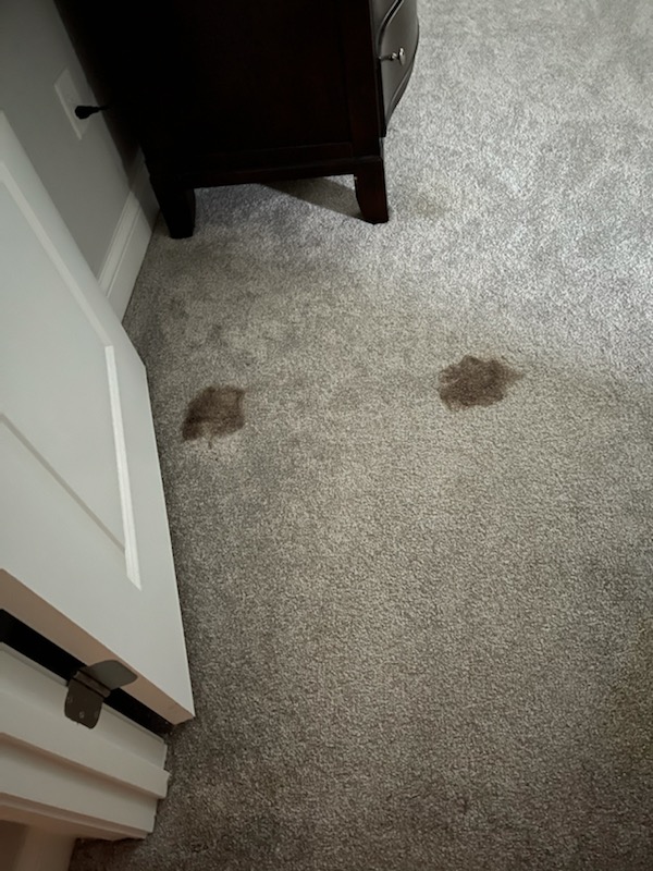 Burlews Carpet Cleaning | Photo 8 of 10 | Address: 9080 Goldpark Dr, West Chester Township, OH 45011, USA | Phone: (513) 779-9138