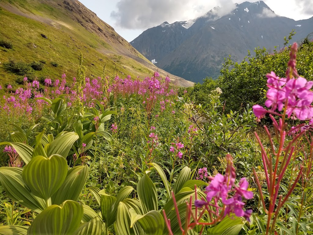 Crow Pass Trailhead | Girdwood, AK 99587, USA | Phone: (907) 783-3242