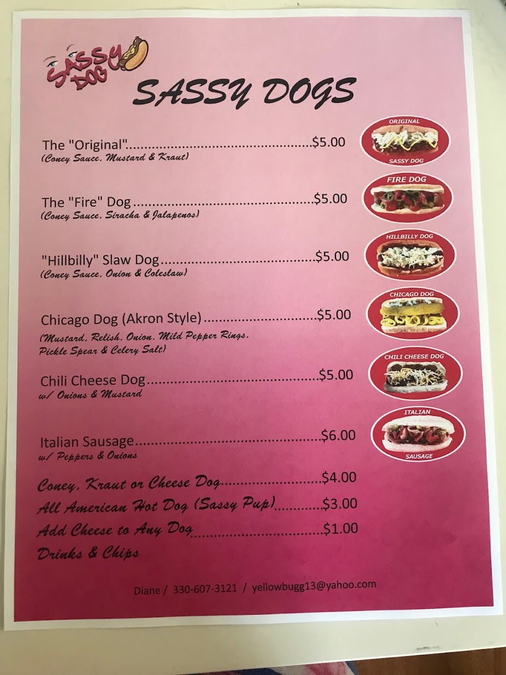 Sassy Dog | 3183 Shellhart Rd, Norton, OH 44203, USA | Phone: (330) 607-3121