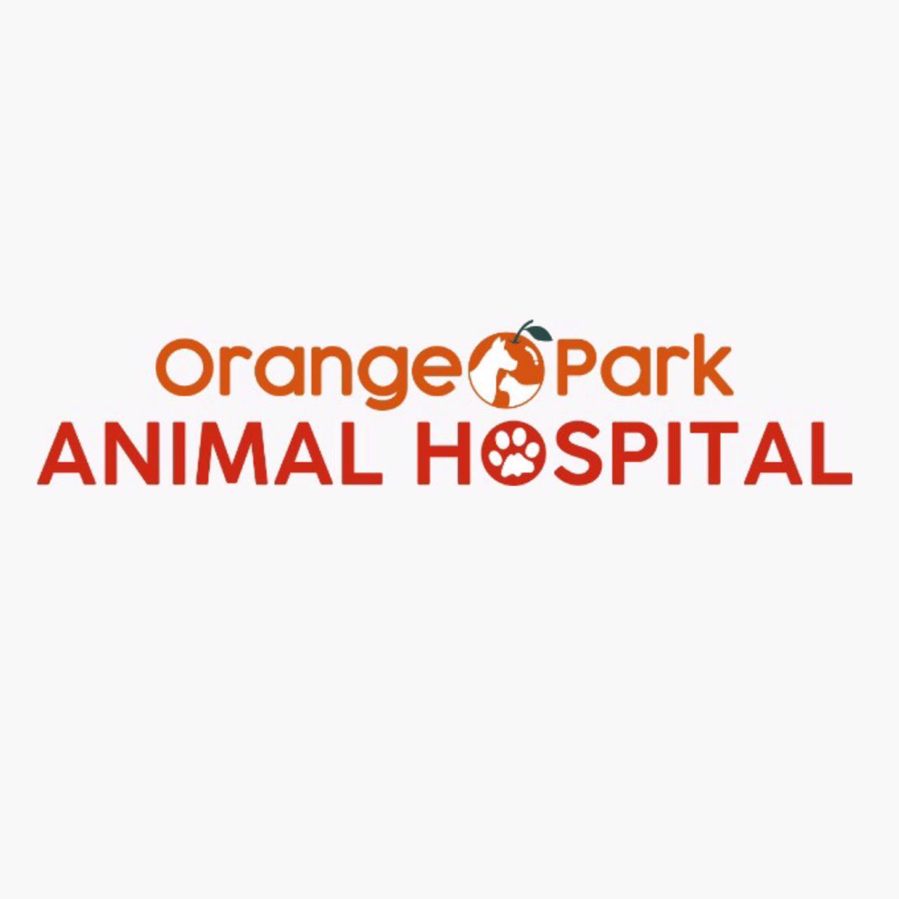 Orange Park Animal Hospital at Oakleaf | 9680 Argyle Forest Blvd Suite # 28, Jacksonville, FL 32222, United States | Phone: (904) 560-8006