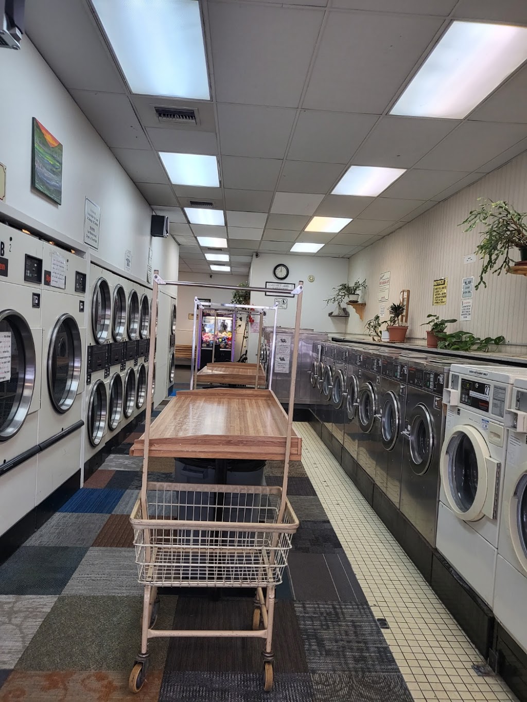 Coin-op Laundromat | 2101 Abbott Rd, Anchorage, AK 99507, USA | Phone: (907) 229-7536